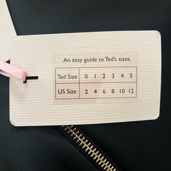 NWT Ted Baker London Chestnut Oracle Skater Dress - Picture 4 of 7